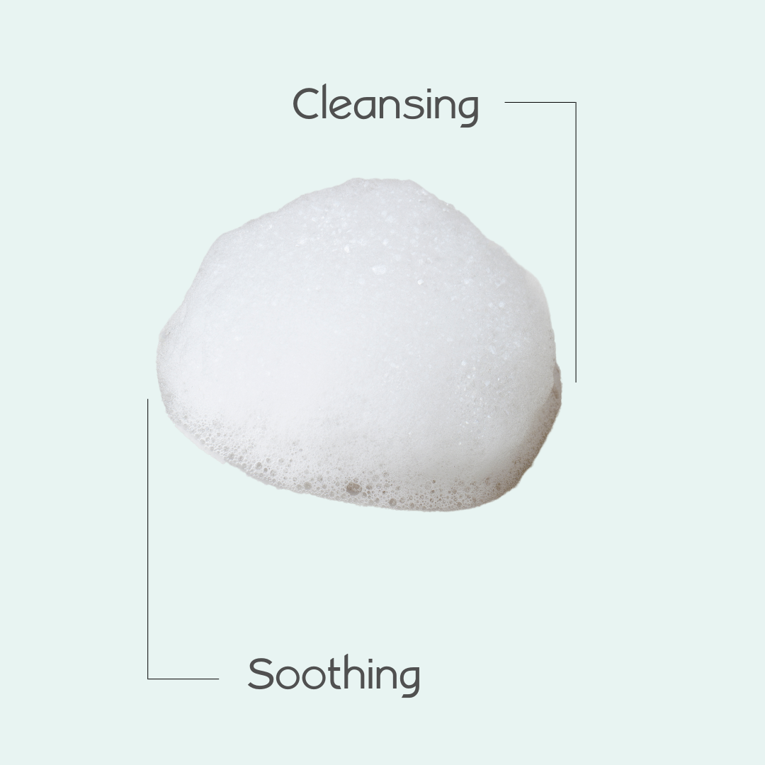 2 in 1 Shampoo + Body Wash