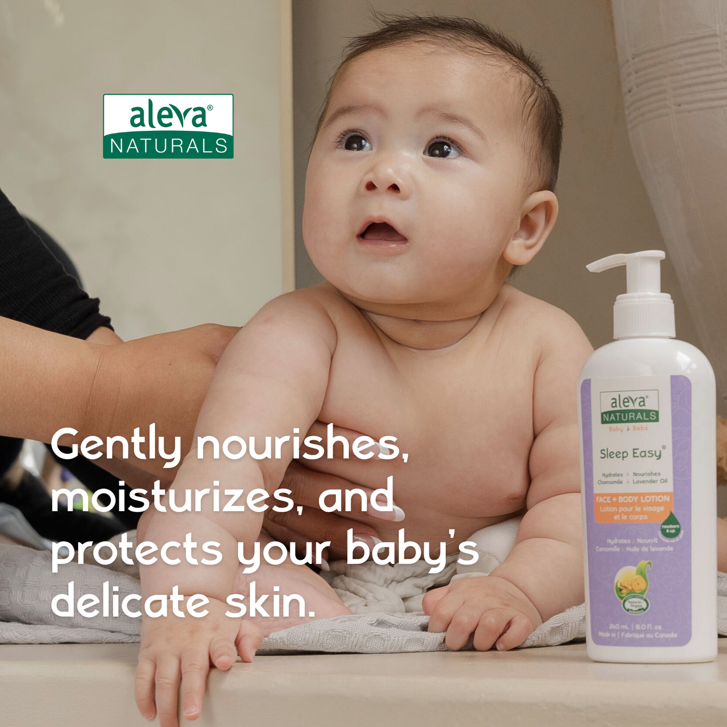 Sleep Easy Face + Body Lotion